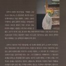 진부자 Daum카페