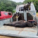 천리농장 이미지