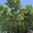 대상세차장 이미지