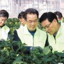 중앙유통농장 이미지