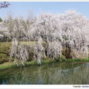 130405 경주 보문정 이미지