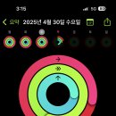 후핏