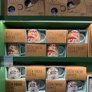 해들교차로 | 도쿄 시부야 스크램블 교차로 포토존 추천 스타벅스 츠타야점 2층에서 내려다보는 뷰맛집