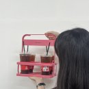 도리 아당 이미지