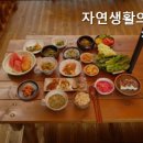 자연생활의집청도 네이버블로그