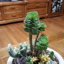 종가3길 이미지