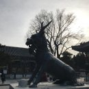 광사제 이미지
