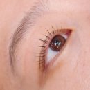 쩡이LASH | 꾸미고뷰티 분당서현속눈썹펌 잘하는곳 할인중
