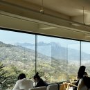 더스테이하우스펜션 | 더숲아카데미하우스 카페/북스테이 후기