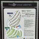 더숨 이미지