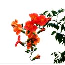 김기태법무사행정사 이미지