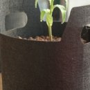 엠제이오퍼 이미지