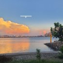 충남회집 | [충남 맛집]장항 금강횟집 재방문후기