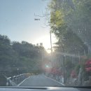 만세로주유소 | 가평 블루문캠핑장 2박3일 후기 첫째날
