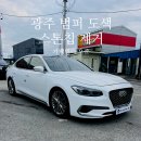 바른길주유소 | 광주 범퍼 도색 스톤칩 제거 후 보수도색 그랜져 보험수리 후기