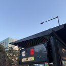 화양초등학교 앞 | 건대입구왁싱 건대왁싱샵 영뷰티 가슴, 배 왁싱 솔직 후기