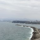 코야커피 | 묵호여행2 거동탕수육 • 콩키 • 무코야선물가게 • 라운드어바웃 • 도야하우스 • 파닭김밥