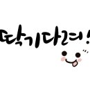 독바위손만두