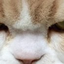 먼데이에디션 이미지