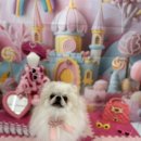 쭌이하우스 이미지