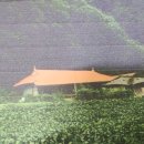경덕천 이미지