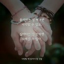 느긋 Daum카페