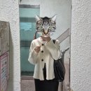 엠베스트부천송내입시학원 | 한강물 온도 췍!