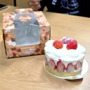 성북-종암-1522 | 스타벅스 신메뉴 캐모마일 허니 티 라떼 크리스마스 케이크 딸기 프리지에 케이크