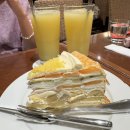 자유로운 오사카여행👯‍♀️