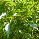 이현동5 이미지