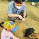 채이농장 이미지