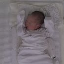 트리시아산후조리원 이미지