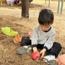 대흥동 유아숲체험원 이미지