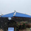 영아리 | 제주도 유채꽃밭 위치, 제주 카페 "영아리카페사계해안본점"내돈내산 솔직후기