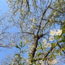 공영주차장 둘레 이미지