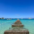 오초 | 자메이카 여행 북쪽 바다 오초리오스 해변 후기