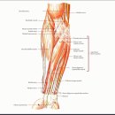 양촌한의원 이미지