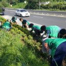 온양4동 온천대로 이미지