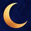 보헤미안별 | 연예인 커피차 보내고 싶으시다면? 케이터링 1등 브랜드 보헤미안컴퍼니, 분식차 신규 오픈!