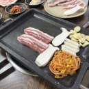 지리산 복돼지 이미지
