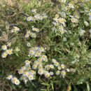 백암목욕탕 이미지