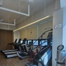 리든덤벨 이미지