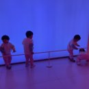 스테이자연도 이미지