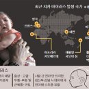 바이러스 이미지