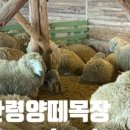 해피그로운 이미지