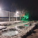 복골온천 애견스파 이미지