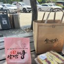 1박 2일 담양여행 코스추천 :: 대나무의 도시 담양에서 떡갈비 먹은 후기