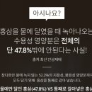 참다한홍삼용인