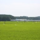 노을빛진산 이미지