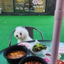봉글봉글 이미지